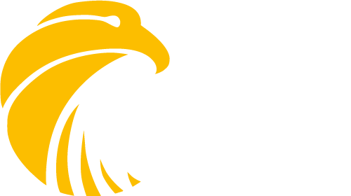 Falcon Generators