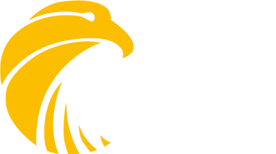 Falcon Power Generation